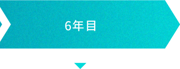 6年目